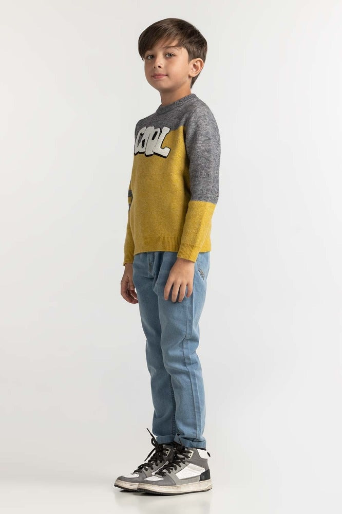 Toddler Boy Multi Basic Sweater