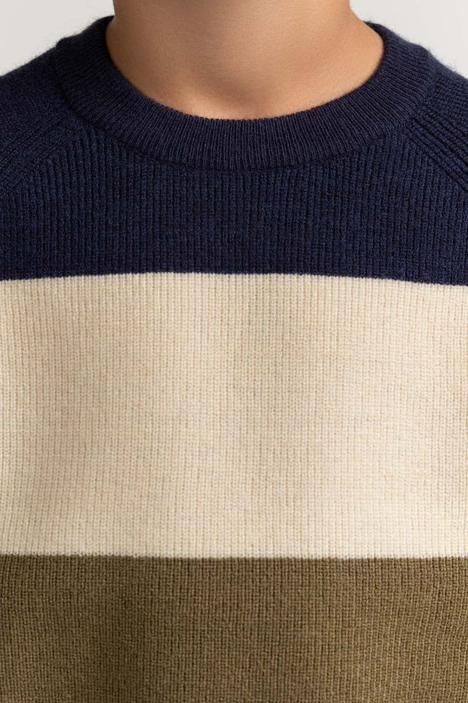 Toddler Boy Multi Basic Sweater