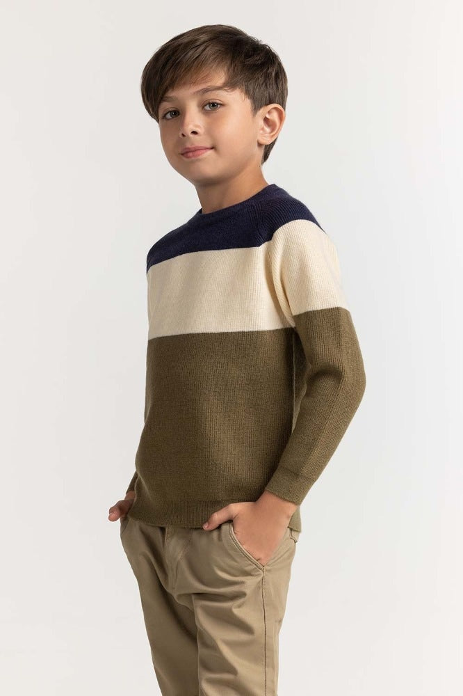 Toddler Boy Multi Basic Sweater