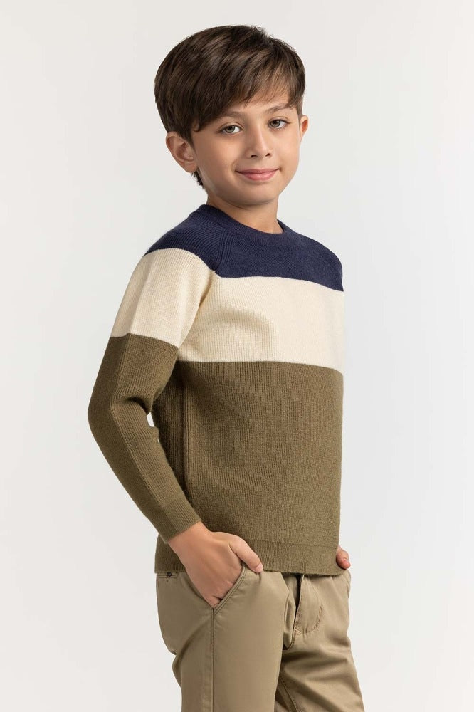 Toddler Boy Multi Basic Sweater