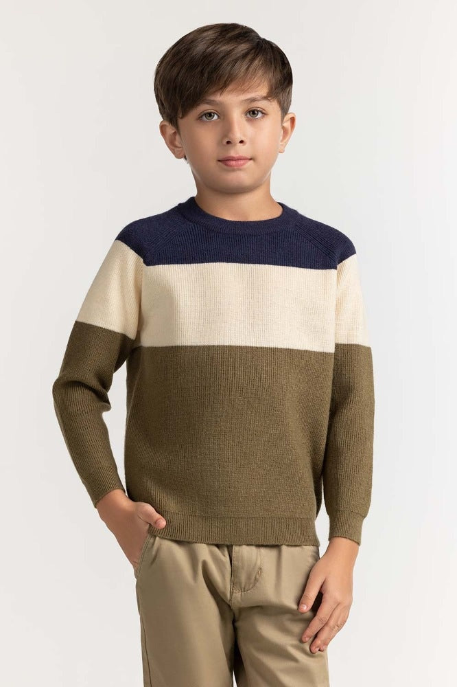 Toddler Boy Multi Basic Sweater