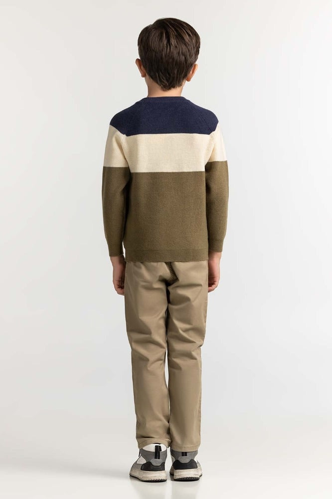 Toddler Boy Multi Basic Sweater