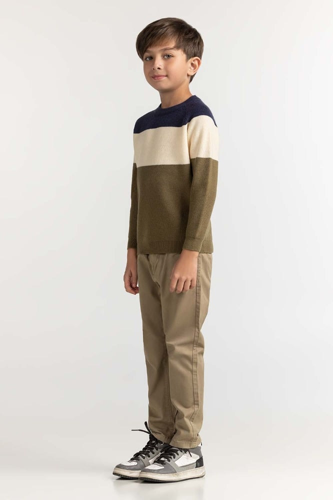 Toddler Boy Multi Basic Sweater