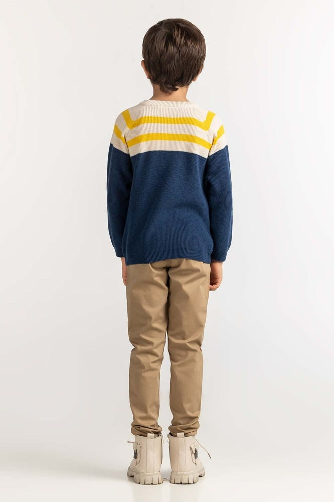 Toddler Boy Multi Basic Sweater