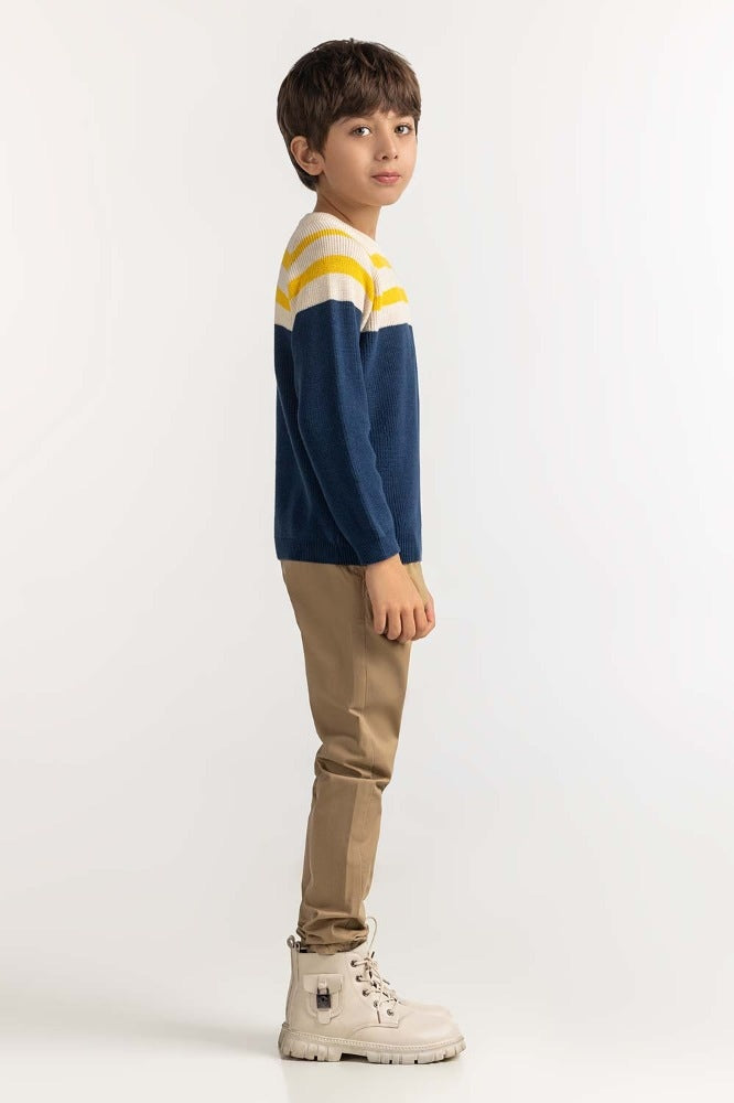 Toddler Boy Multi Basic Sweater
