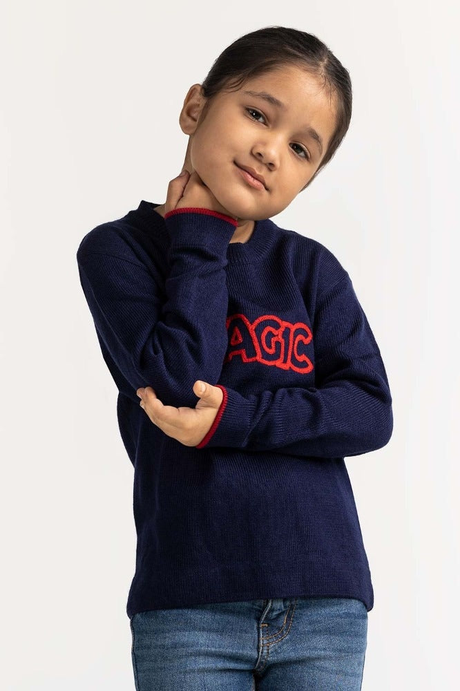 Toddler Girl Blue Basic Sweater