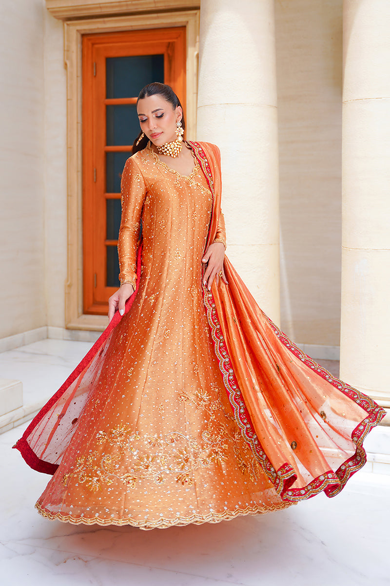 Ashni
