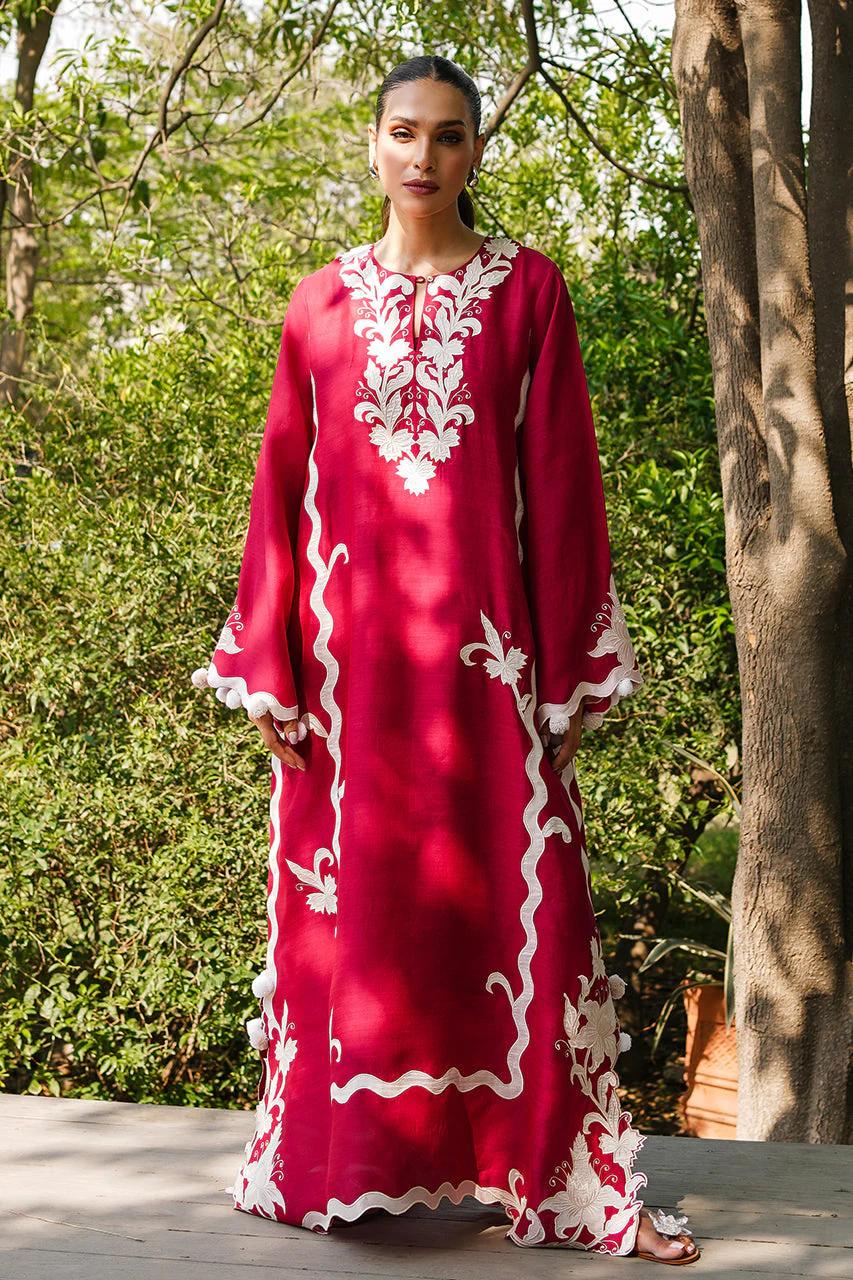 https://cdn.shopify.com/s/files/1/0923/1931/8403/files/vaneeza-kaftan-by-alizay-saad-135835.jpg?v=1756724934