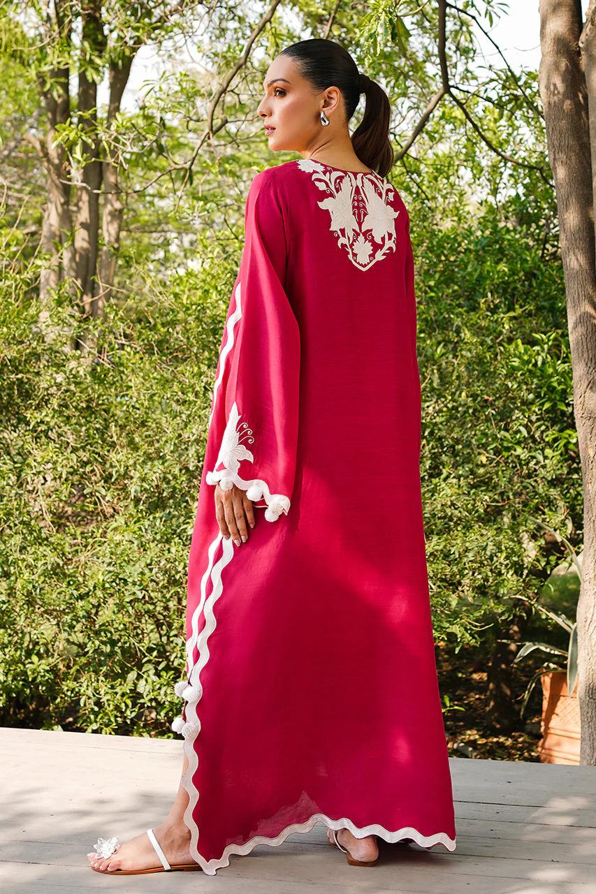 https://cdn.shopify.com/s/files/1/0923/1931/8403/files/vaneeza-kaftan-by-alizay-saad-790548.jpg?v=1756724934