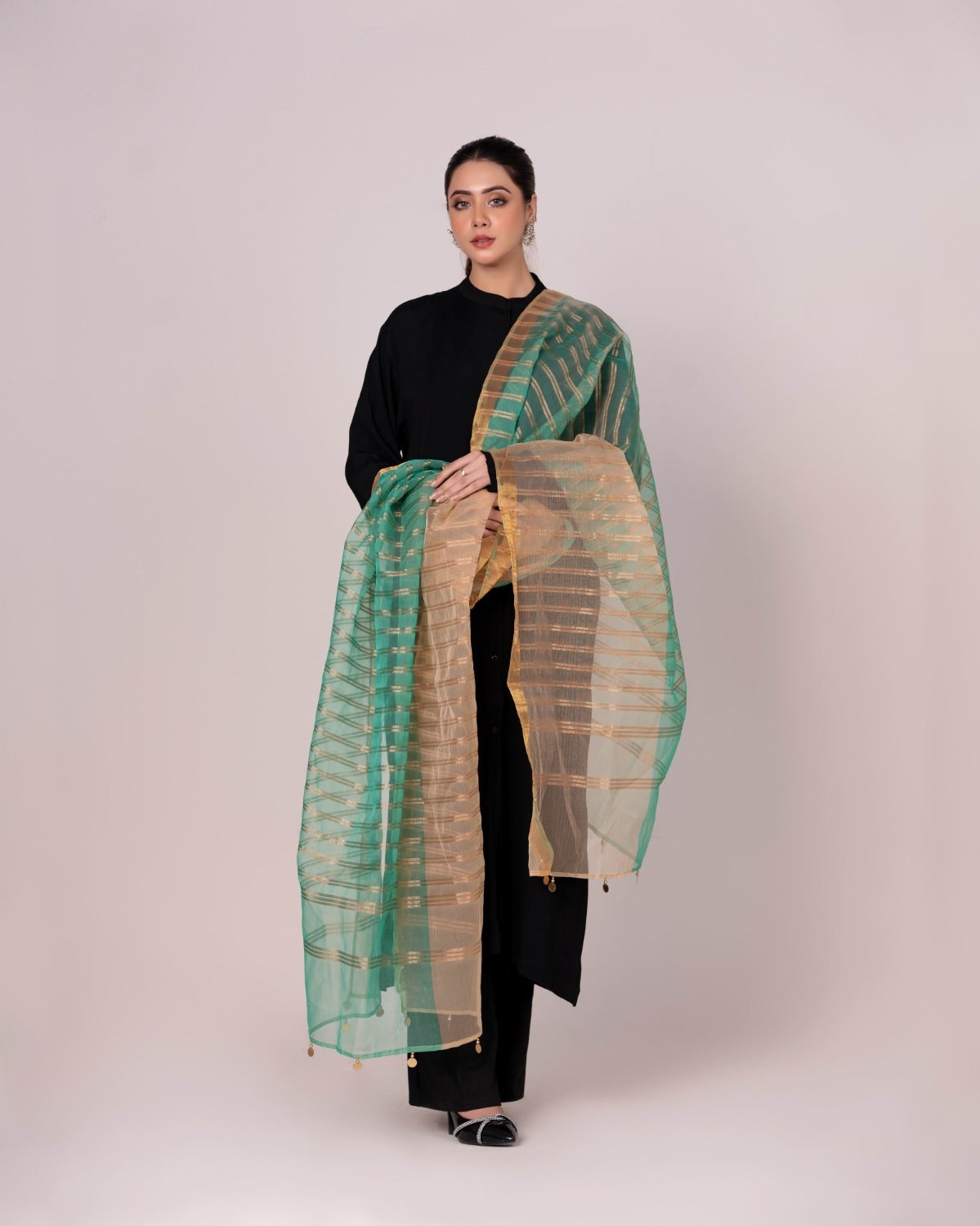 Odhani Embllished Dupatta