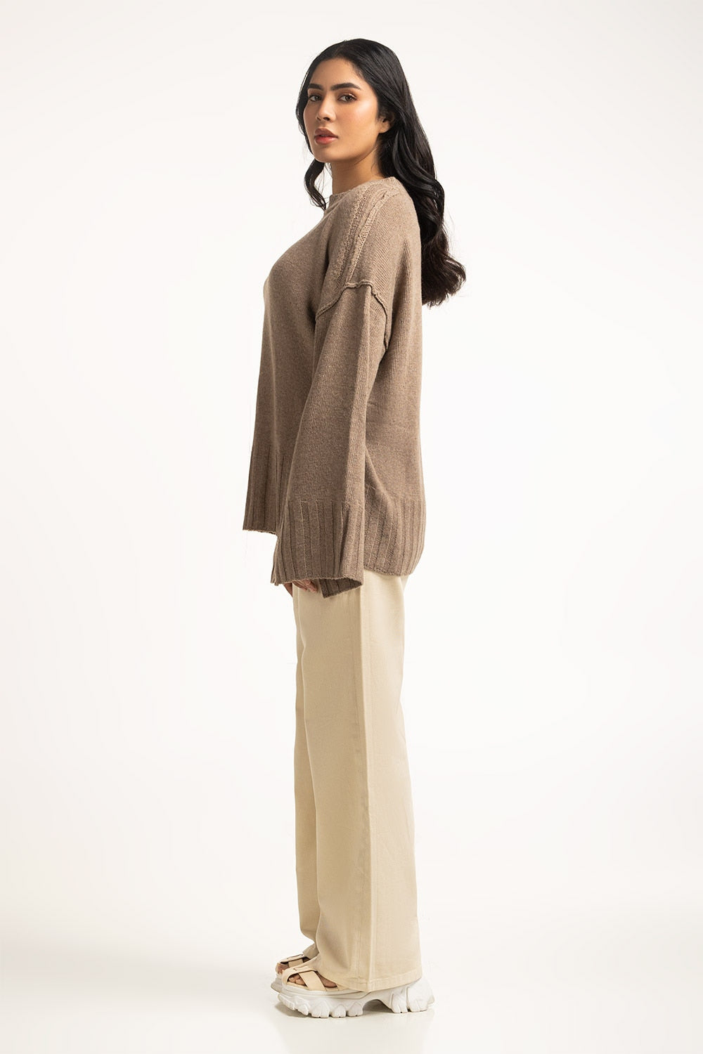 Women Sweater Regular Fit
