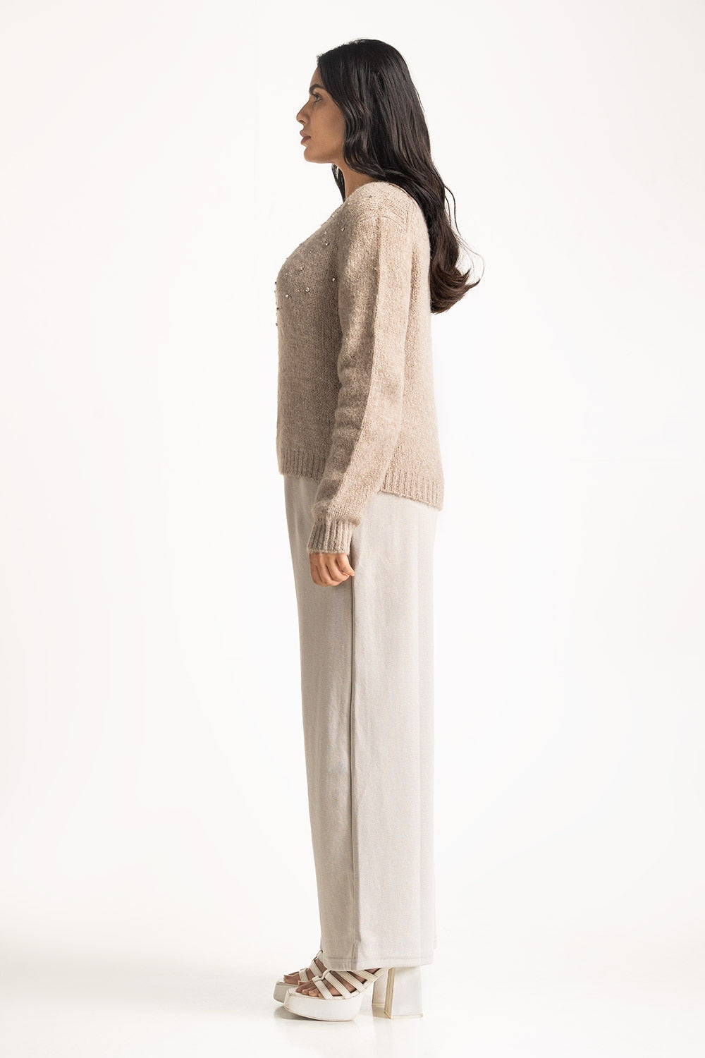 Women Sweater Regular Fit
