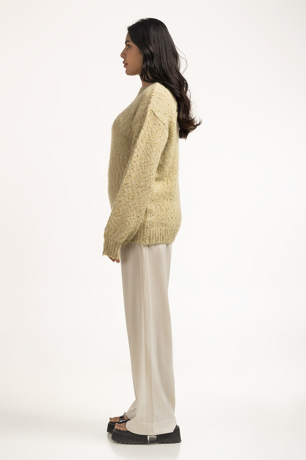 Women Sweater Regular Fit