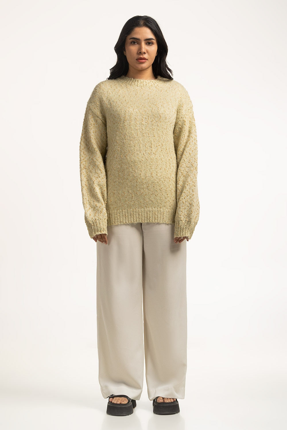 Women Sweater Regular Fit