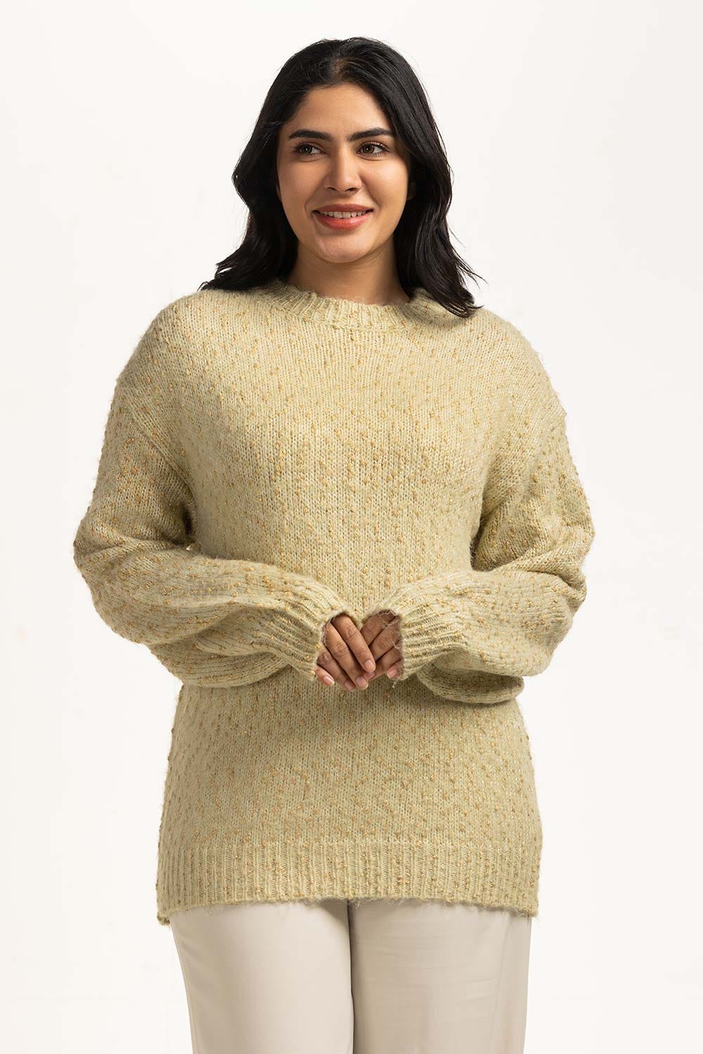 Women Sweater Regular Fit