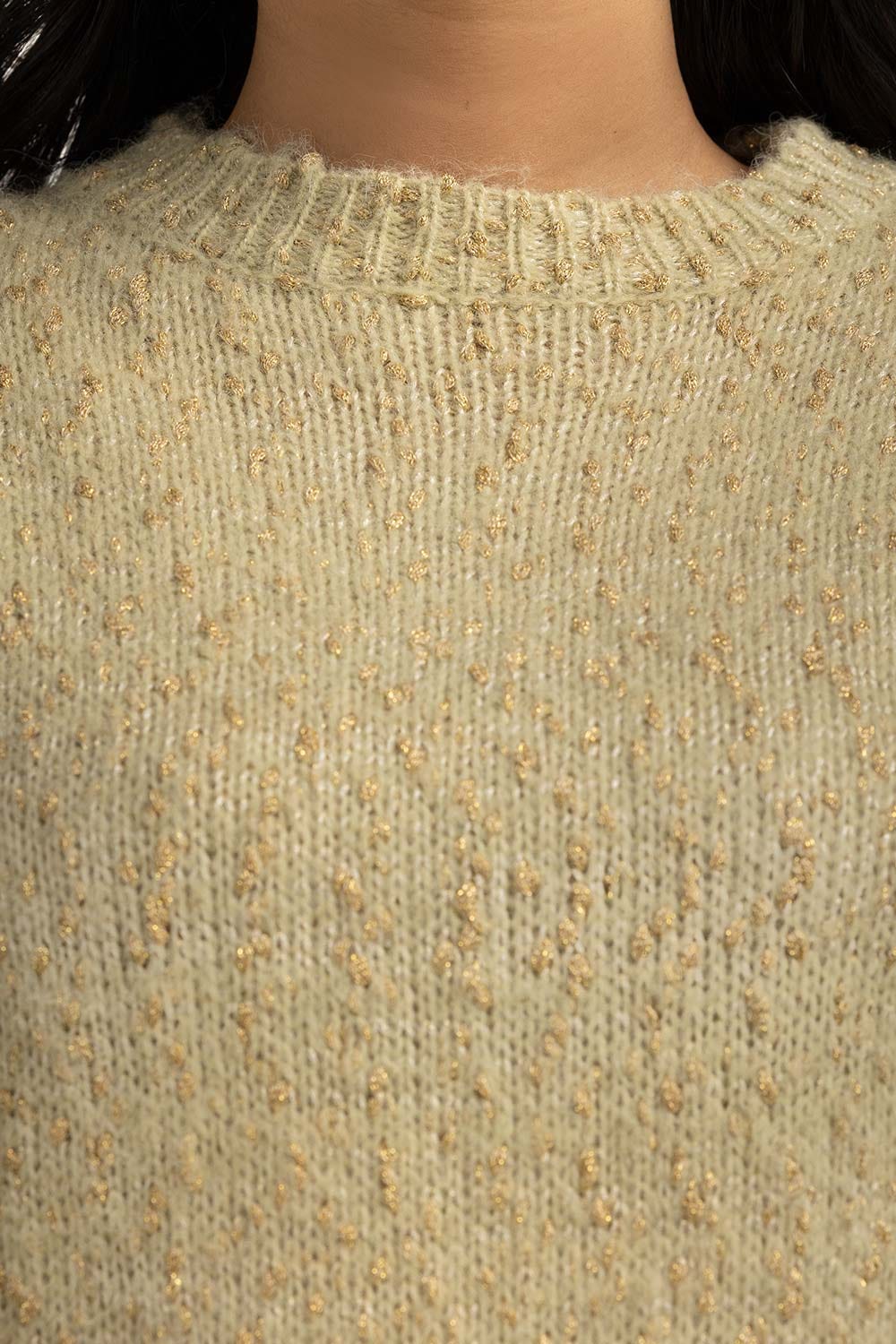 Women Sweater Regular Fit