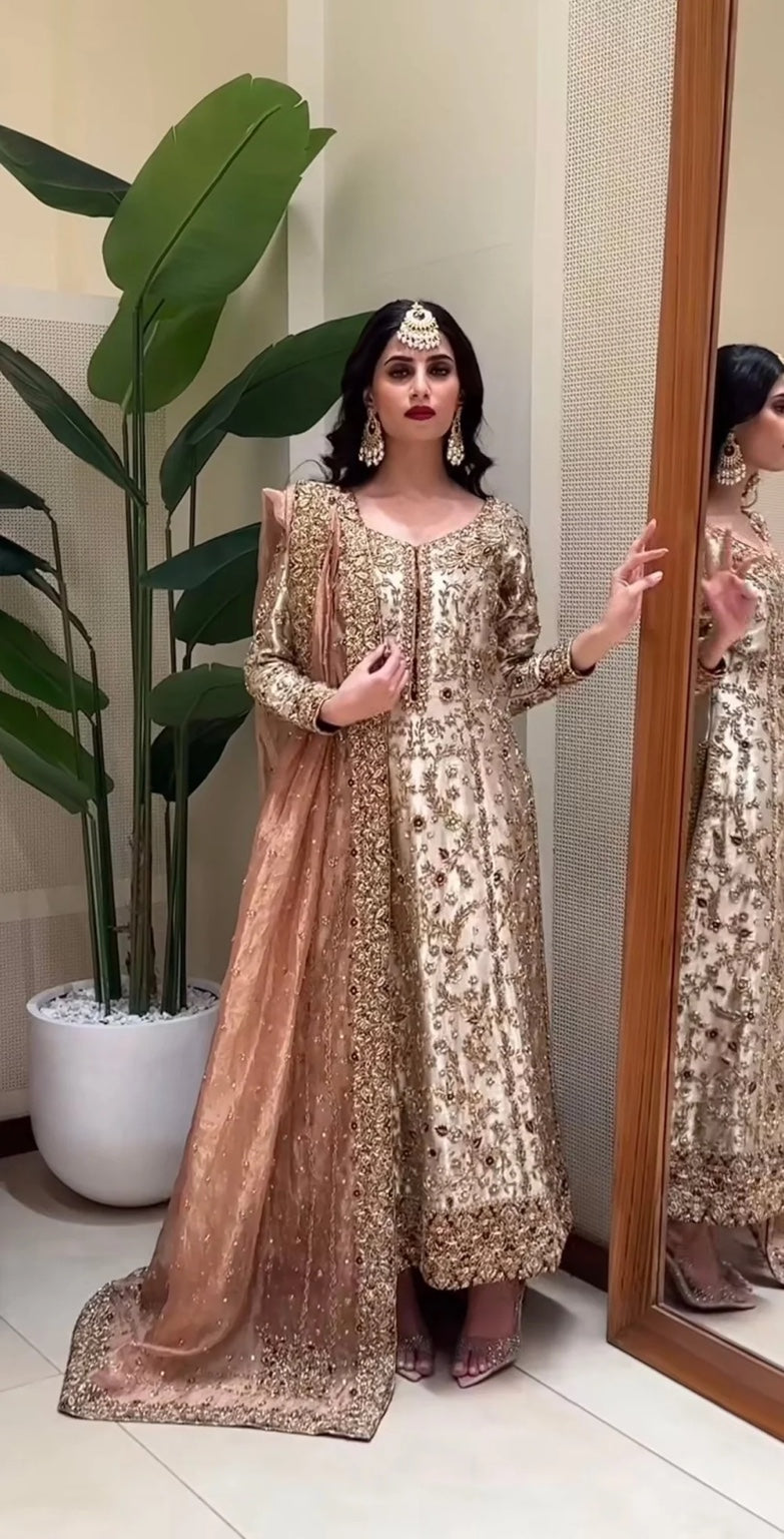 Zeeshan Danish – Dilruba Style