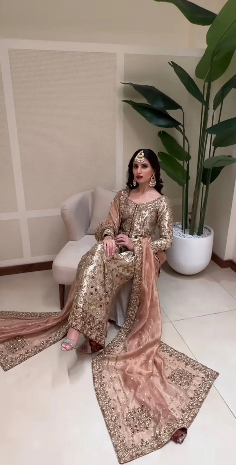 Zeeshan Danish – Dilruba Style