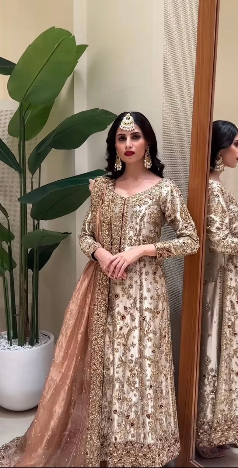 Zeeshan Danish – Dilruba Style