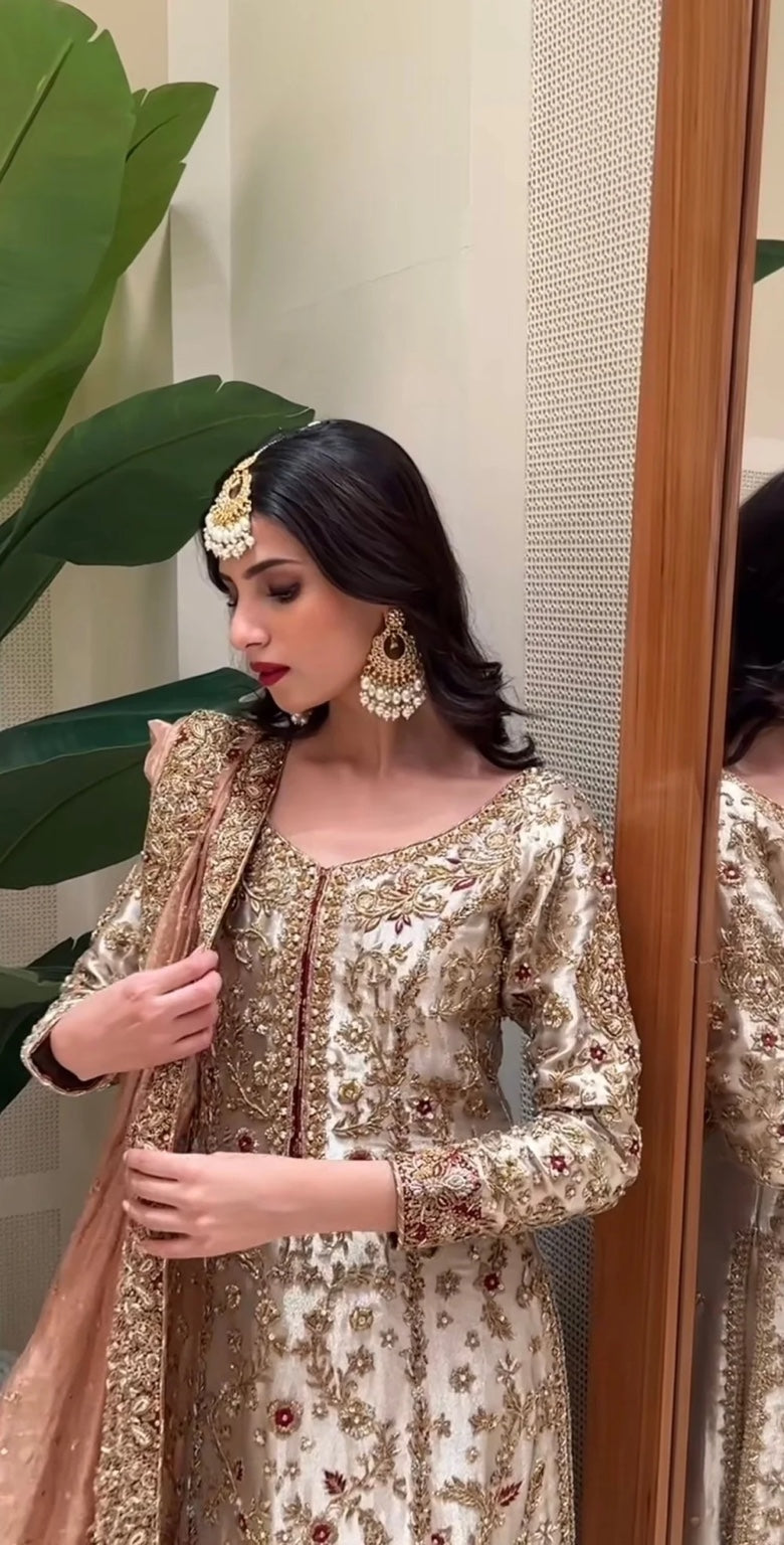 Zeeshan Danish – Dilruba Style