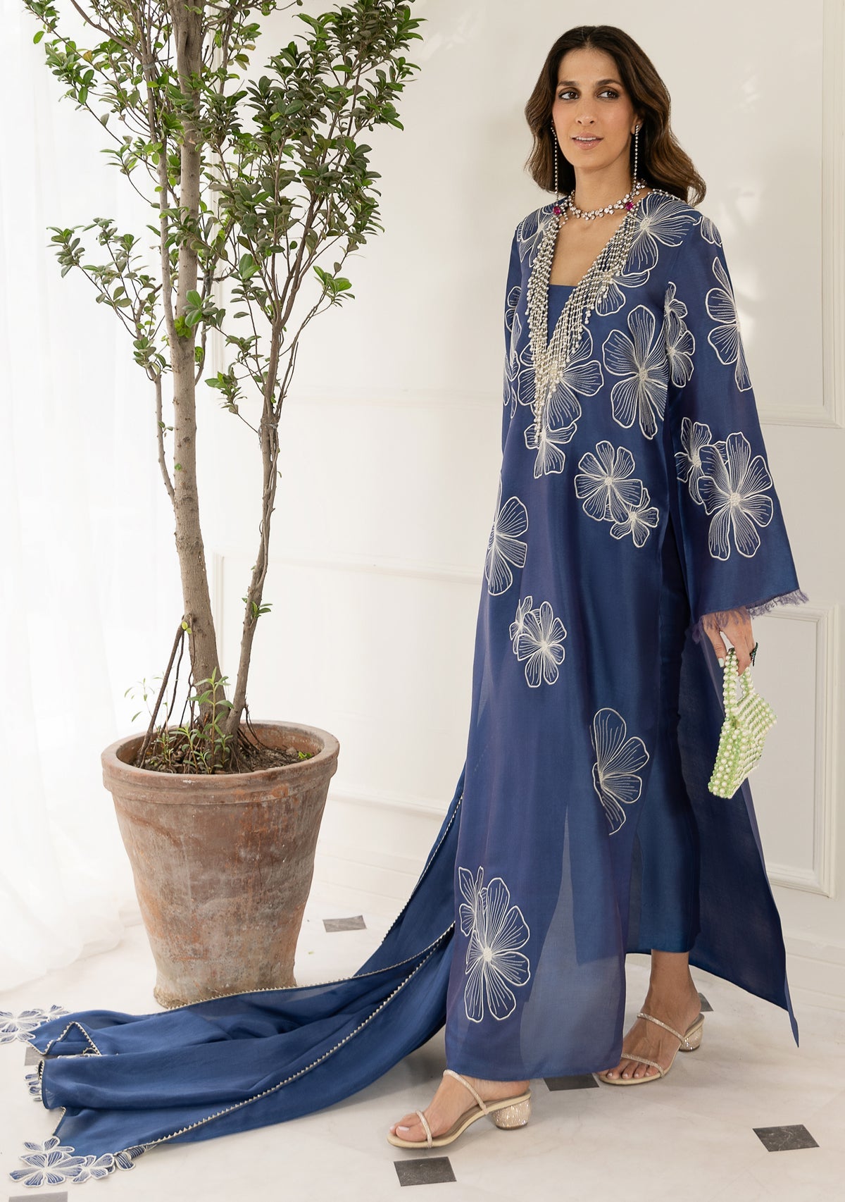 https://cdn.shopify.com/s/files/1/0676/8177/9968/files/zianab1.jpg?v=1746684420